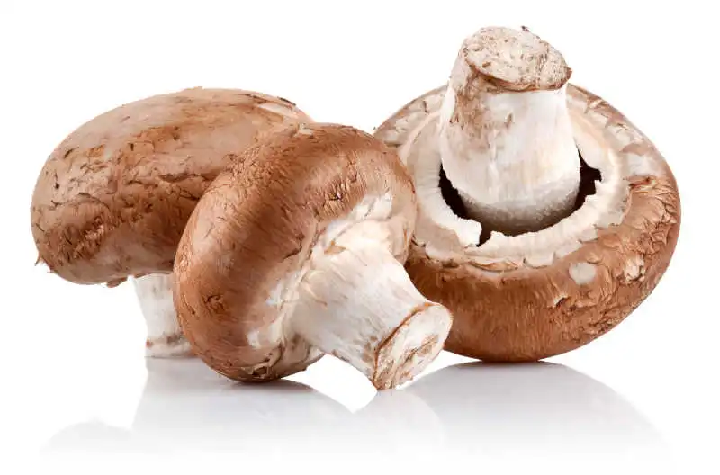 Ergothioneine: The Healthy Aging Compound Everyone Is Talking About